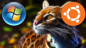 Name:  oneiric-ocelot-vs-windows-7-ubuntu-348x196.jpg
Views: 268
Size:  22.5 KB