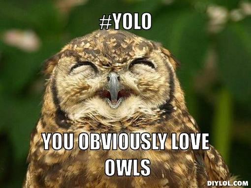 Name:  807f9af822d4a941ba24e29634e60d23_1000-images-about-funny-owls-owl-meme_510-383.jpeg
Views: 224
Size:  38.1 KB