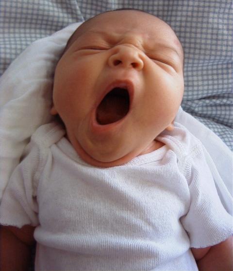 Name:  Baby-yawn-200305211.jpg
Views: 478
Size:  32.5 KB