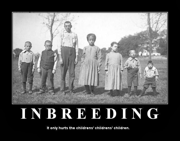 Name:  inbreeding-poster1.jpg
Views: 521
Size:  54.9 KB