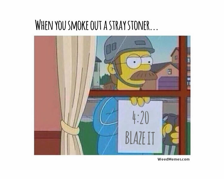 Name:  simpsons-420-stray-stoner-weedmemes.jpg
Views: 900
Size:  40.3 KB