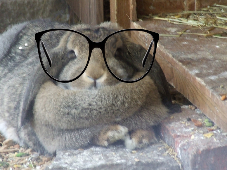 Name:  rabbit.png
Views: 561
Size:  754.6 KB