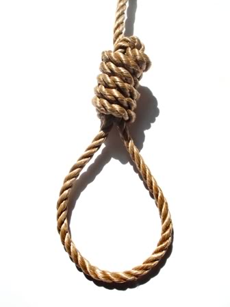 Name:  noose.jpg
Views: 384
Size:  18.1 KB