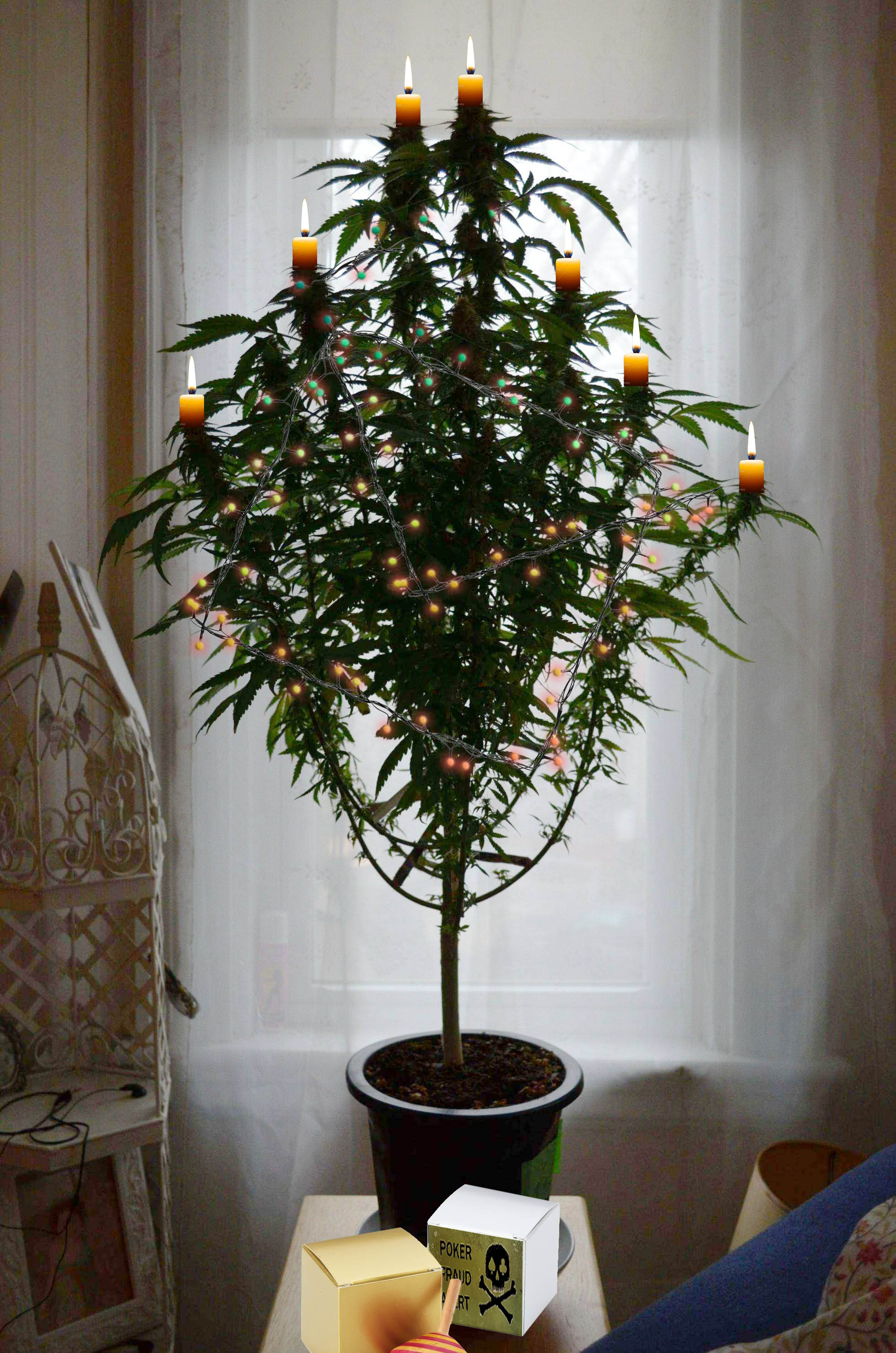 Name:  pfa holiday tree.jpg
Views: 227
Size:  609.3 KB