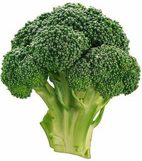 Name:  broccoli3608-prv.jpg
Views: 624
Size:  72.1 KB