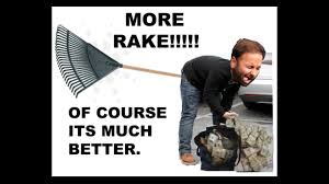 Name:  More rake is better.jpg
Views: 311
Size:  8.2 KB