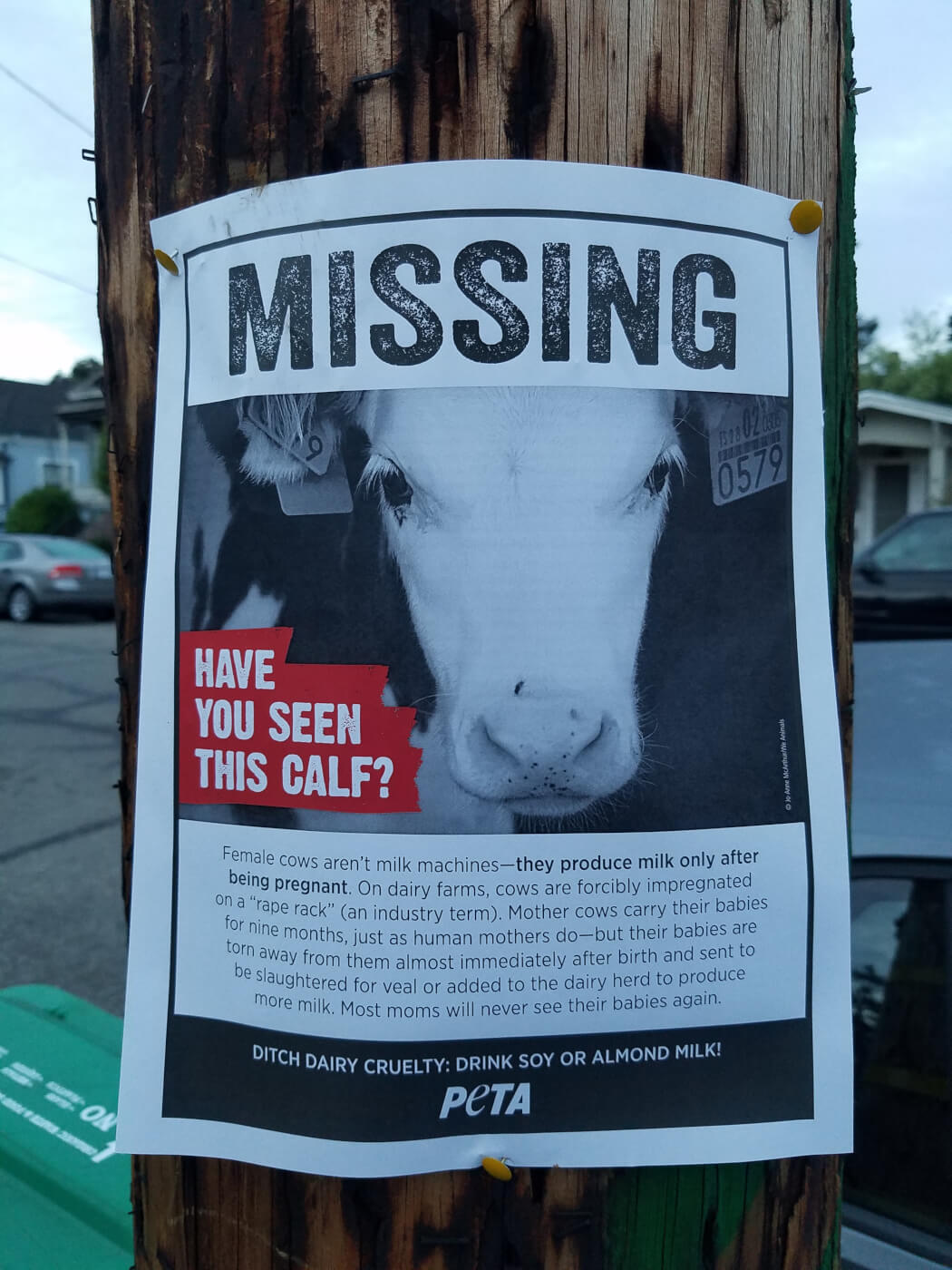 Name:  missingcalfposter.jpg
Views: 610
Size:  176.7 KB