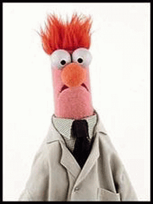 Name:  Beaker1.gif
Views: 419
Size:  44.4 KB