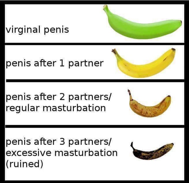 Name:  vpenis.jpg
Views: 569
Size:  65.6 KB