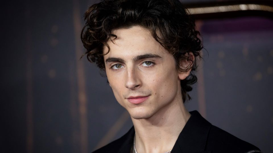 Name:  timothee-chalamet.jpg
Views: 410
Size:  5.45 MB