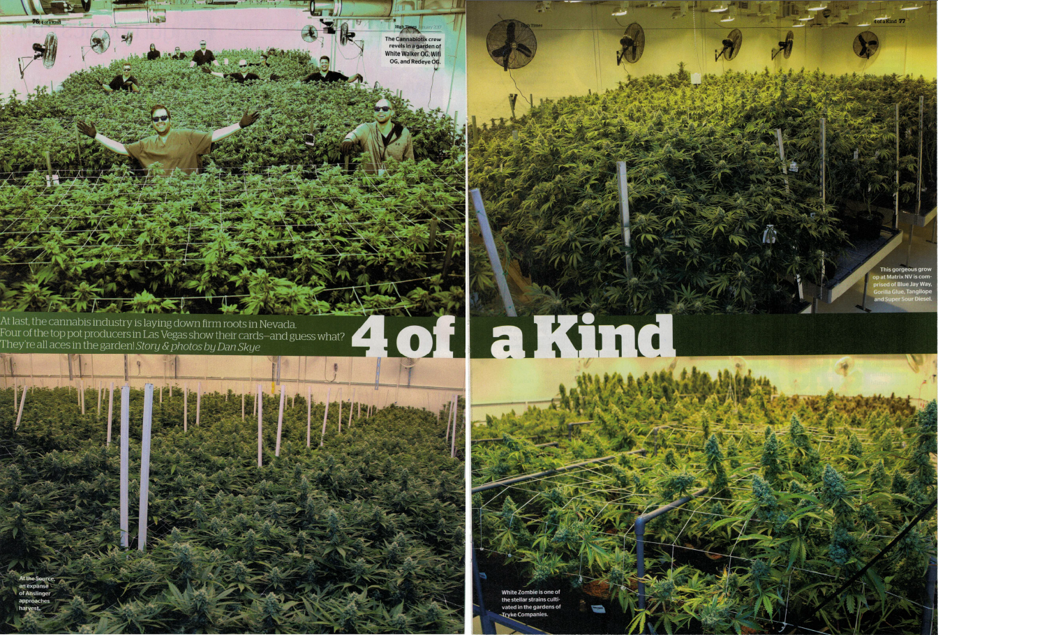 Name:  High Times Grow Rooms.png
Views: 806
Size:  3.07 MB