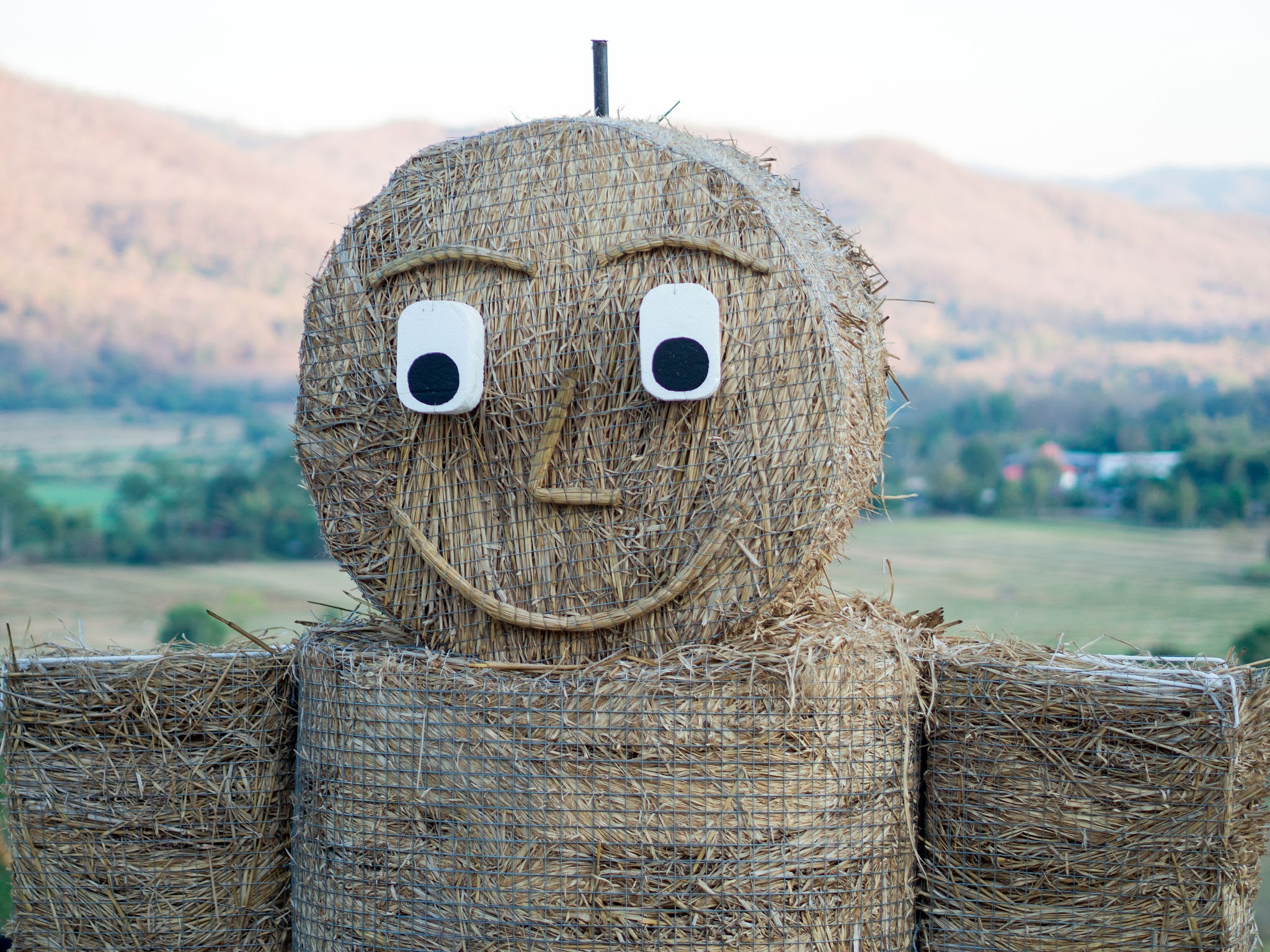 Name:  Straw man.jpg
Views: 362
Size:  747.8 KB