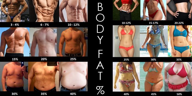 Name:  body-fat-percentage-examples-comparison1-e1443176156415.jpg
Views: 232
Size:  61.7 KB