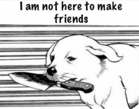 desertrunner's Avatar